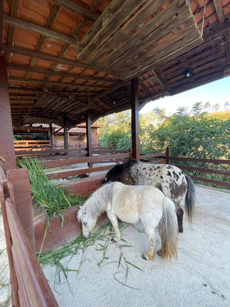 Hotel Fazenda Rochedo Консерватоириа Экстерьер фото